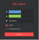 DS Vidéo Windows.JPG