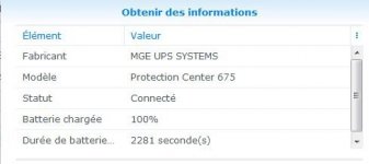 UPS_DS216.JPG
