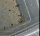 1721928257040.gif 1721928257040.gif