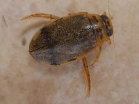 signal-2024-07-25-19-22-10-151.jpg signal-2024-07-25-19-22-10-151.jpg