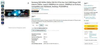 Fanxiang S500 Pro 256Go 01.JPG