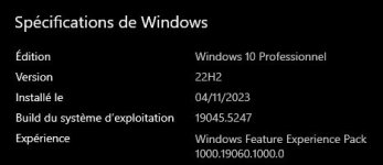 Version windows 10.jpg