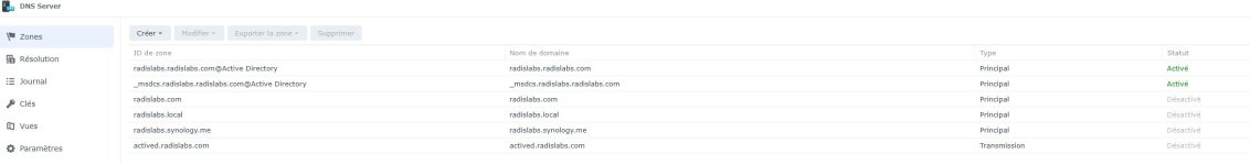 dns-syno.jpg