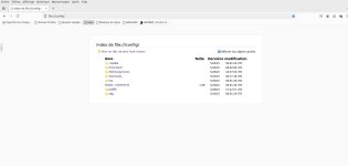 windowsfirefoxdocker4.jpg