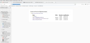 firefioxconfigdownload.jpg