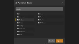 Installer-Plex-Selection-du-dossier-reconnu.webp