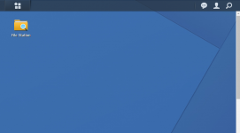 dsm.png