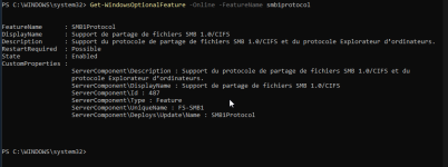 powershell_43KmF70Wys.png