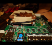 noctua bis.png