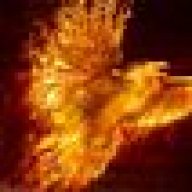 phoenix912