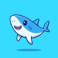 noobShark