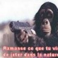 pmai